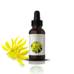 H.E D’YLANG-YLANG: Cananga odorata