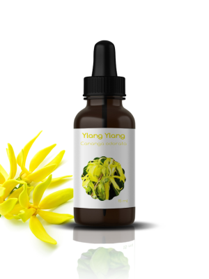 2 H.E D’YLANG-YLANG: Cananga odorata