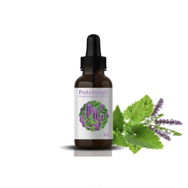 H.E DE PATCHOULI