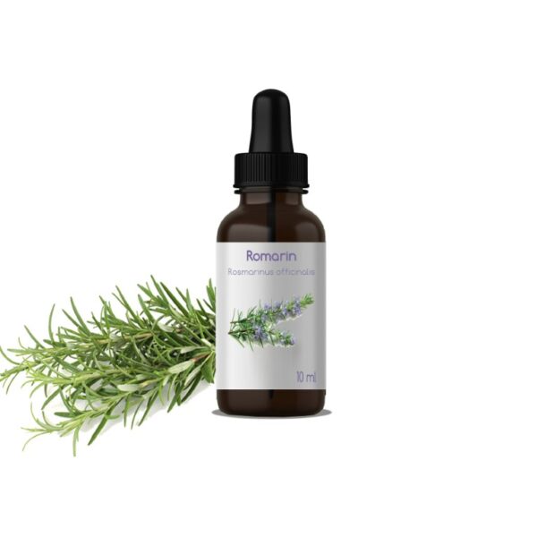 H.E DE ROMARIN: Rosmarinus Officinalis CT cinéole