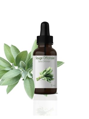 28 H.E DE SAUGE OFFICINALE: Salvia Officinalis