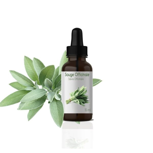 28 H.E DE SAUGE OFFICINALE: Salvia Officinalis