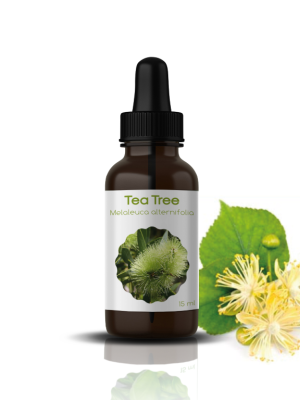 30 H.E DE TEA TREE: Malaleuca Alternifolia