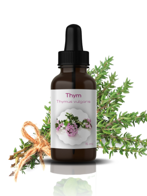 H.E DE THYM: Thymus Vulgaris à THYMOL