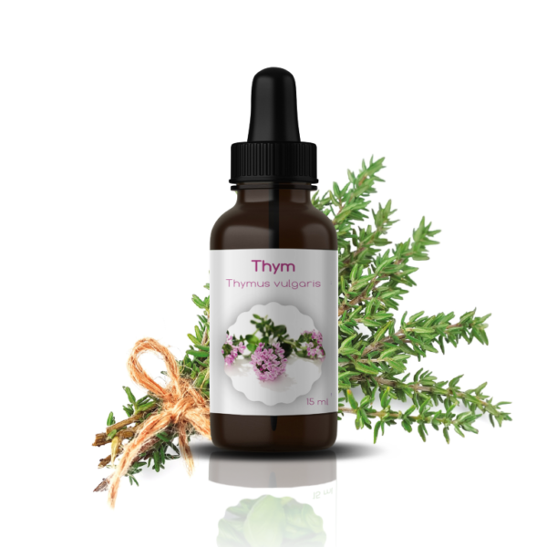 H.E DE THYM: Thymus Vulgaris à THYMOL