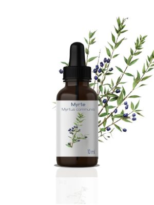 H.E MYRTE ROUGE