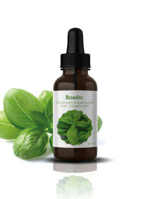 39 H.E DE BASILIC: Oscimum basilicum
