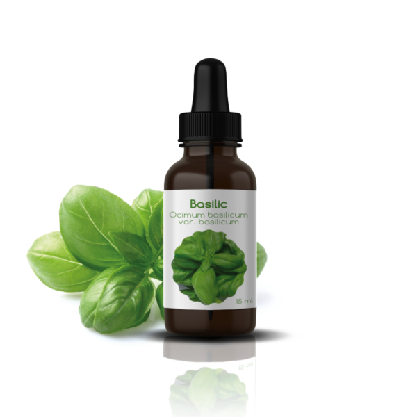 39 H.E DE BASILIC: Oscimum basilicum