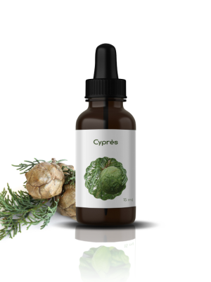 42 H.E DE CYPRES: Cupressus sempervirens