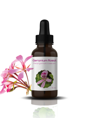 H.E DE GERANIUM: Pelargonium
