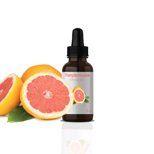 H.E DE PAMPLEMOUSSE: Citrus paradisii