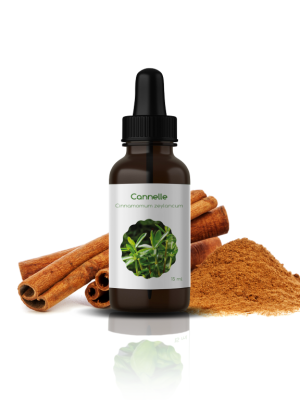5 H.E DE CANNELLE: Cinnamomum Cassia