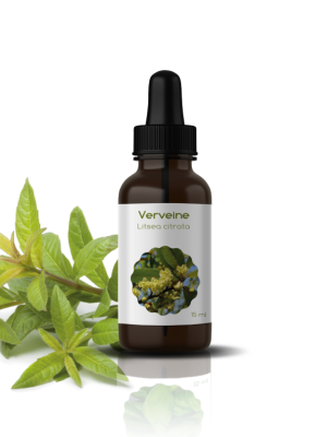 H.E DE VERVEINE