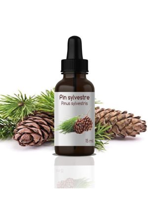 Huile essentielle PIN DE SYLVESTRE